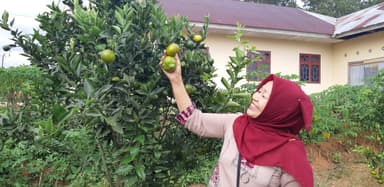 Foto NOVIATRI - Dosen di Universitas Andalas