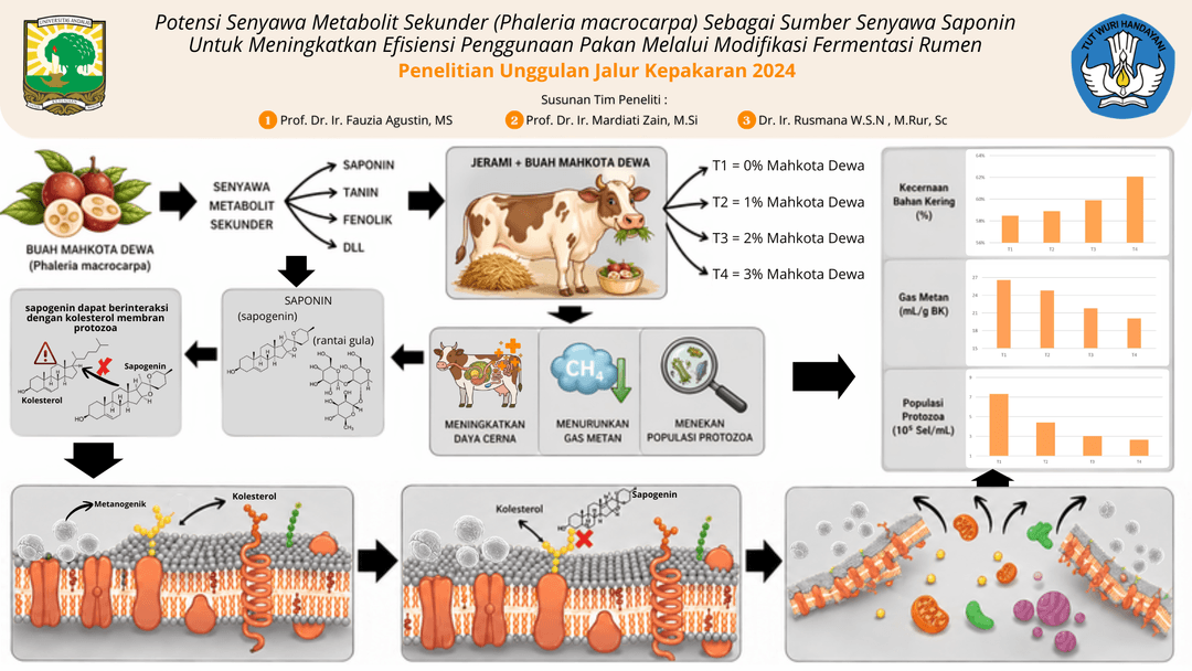 Graphical Abstract
