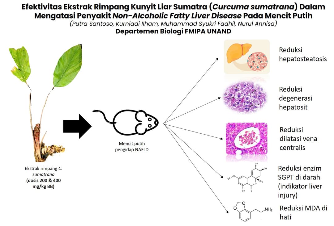 Graphical Abstract
