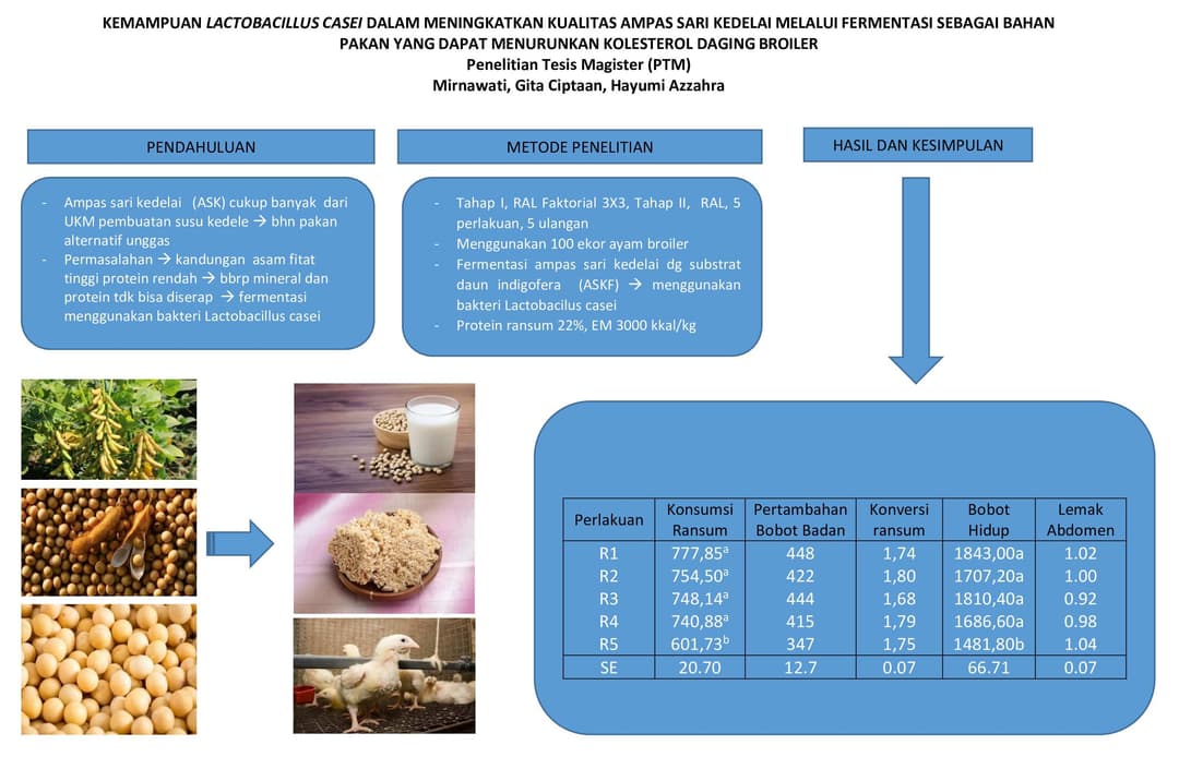 Graphical Abstract