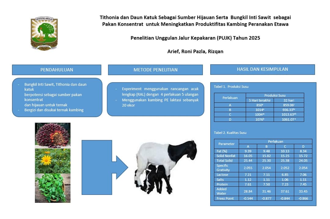 Graphical Abstract