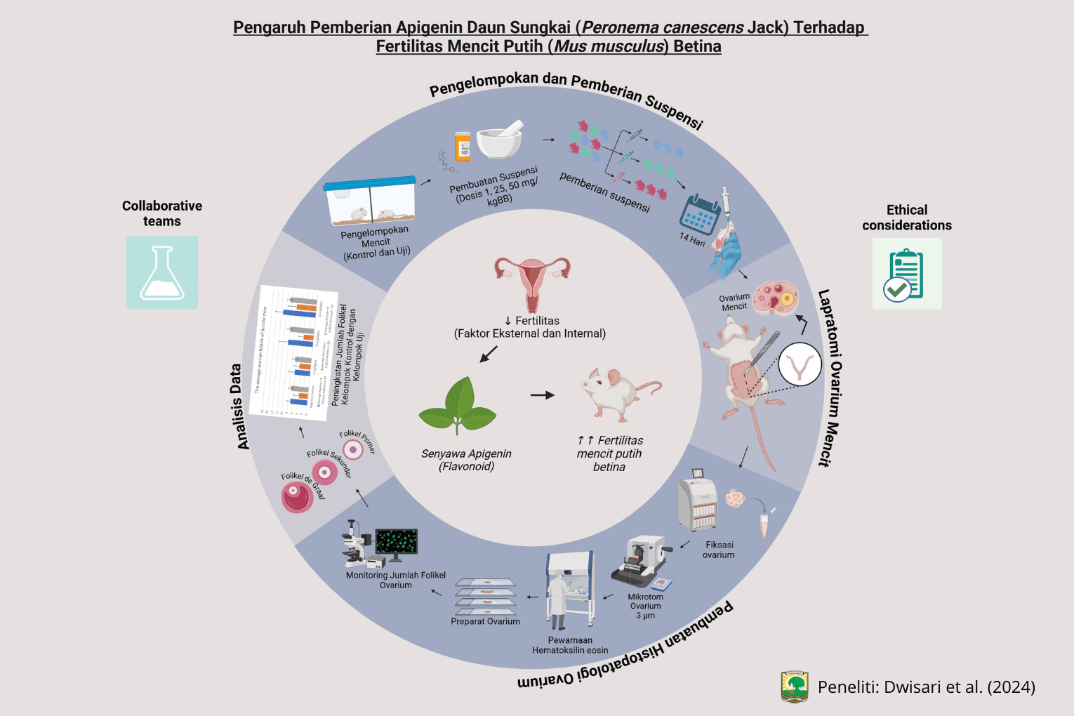 PENGARUH PEMBERIAN ISOLAT AKTIF DAUN SUNGKAI (Peronema canescens Jack) TERHADAP FERTILITAS MENCIT PUTIH (Mus Musculus ) BETINA