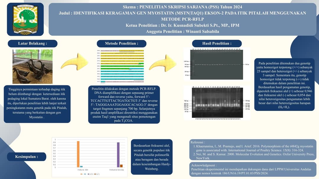 Graphical Abstract