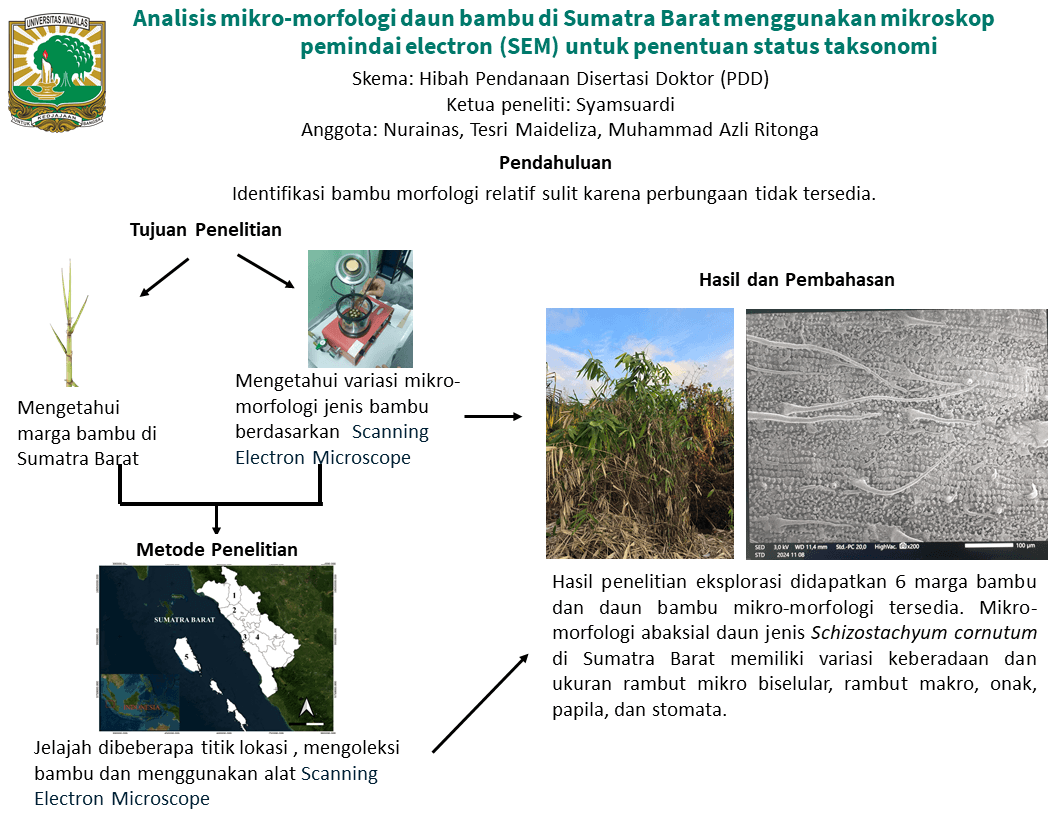 Analisis mikro-morfologi daun bambu di Sumatra Barat menggunakan mikroskop pemindai elektron (SEM) untuk penentuan status taksonomi