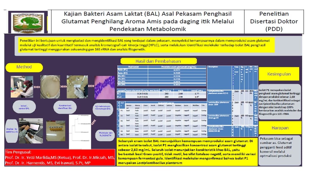 Graphical Abstract