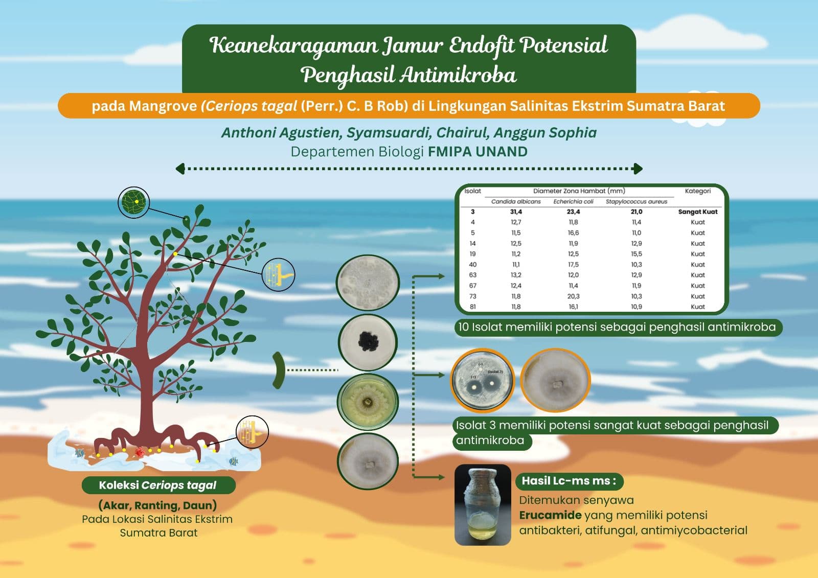 KEANEKARAGAMAN JAMUR ENDOFIT POTENSIAL SEBAGAI PENGHASIL ANTIMIKROBA PADA MANGROVE (Ceriops tagal (Perr.) C.B Rob) DI LINGKUNGAN SALINITAS EKSTRIM SUMATRA BARAT