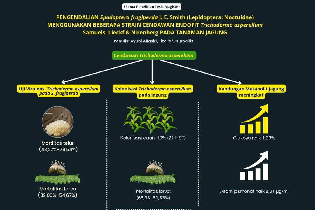 Graphical Abstract
