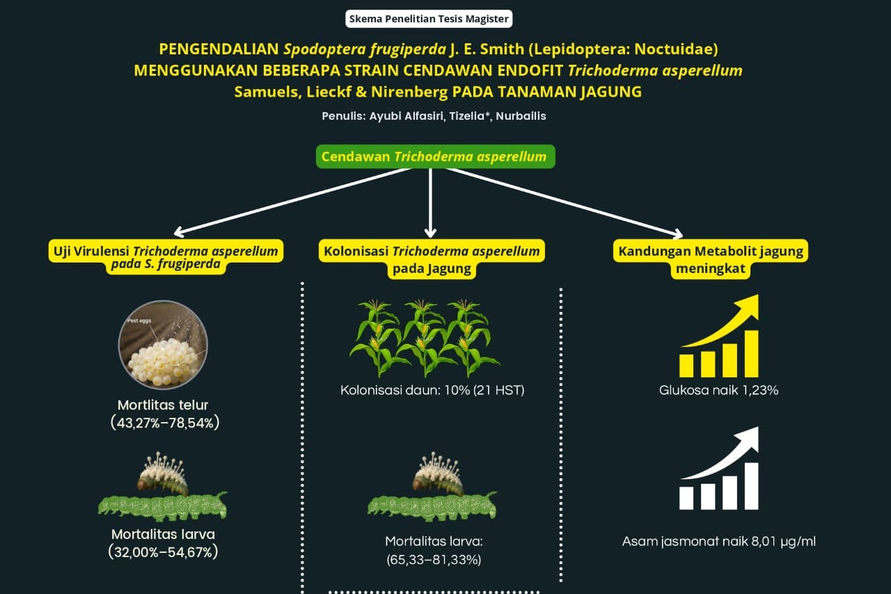 KEMAMPUAN CENDAWAN ENDOFIT Trichoderma asperellum SEBAGAI AGENS PENGENDALI HAYATI HAMA UTAMA TANAMAN JAGUNG, Spodoptera frugiperda J. E. Smith (Lepidoptera : Noctuidae)
