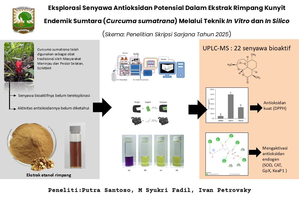 Graphical Abstract