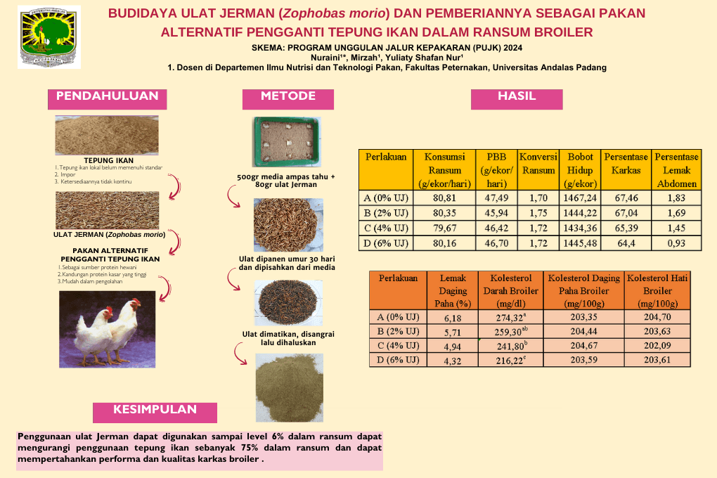 Budidaya Ulat Jerman (Zophobas morio) dan pemberian sebagai pakan alternatif pengganti tepung ikan dalam ransum broiler