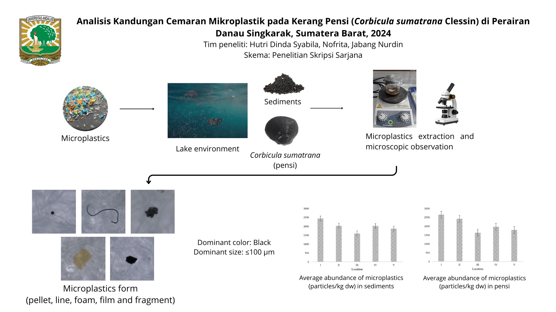 Analisis Kandungan Cemaran Mikroplastik Pada Kerang Pensi (Corbicula sumatrana Clessin) di Perairan Danau Singarak, Sumatera Barat