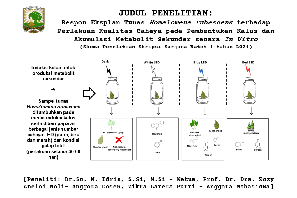 Graphical Abstract