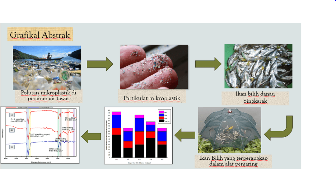 Graphical Abstract