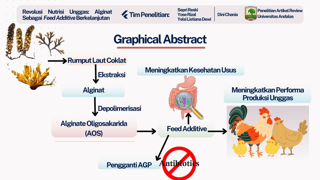 Graphical Abstract