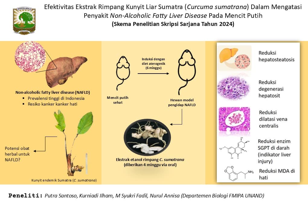 Graphical Abstract