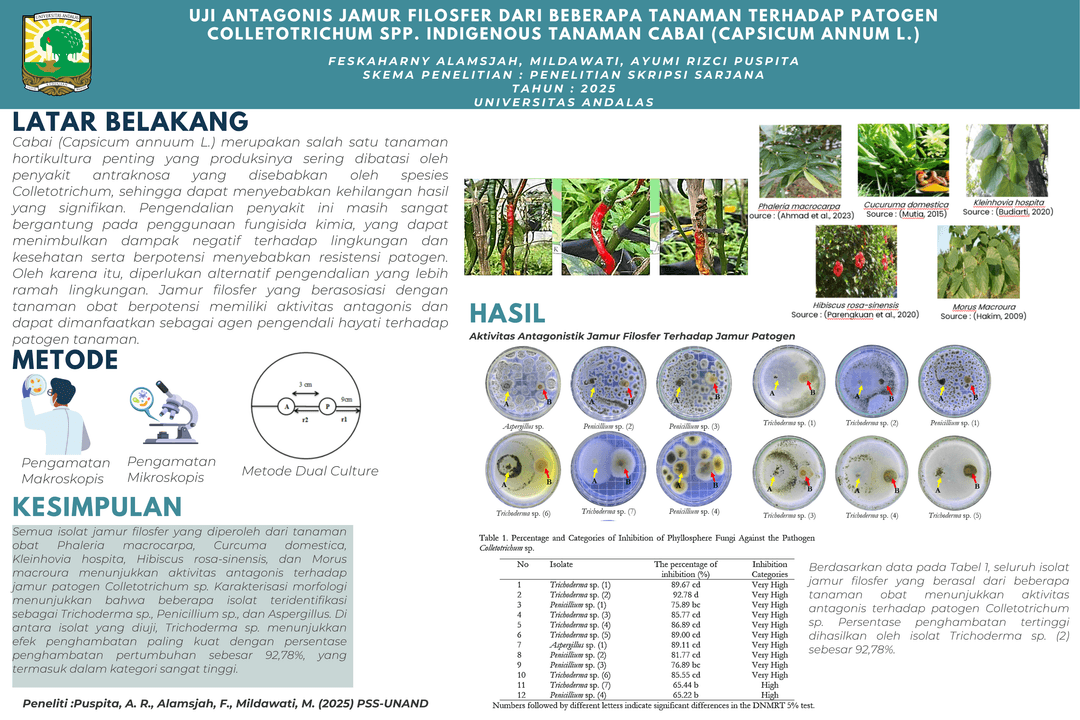 Graphical Abstract