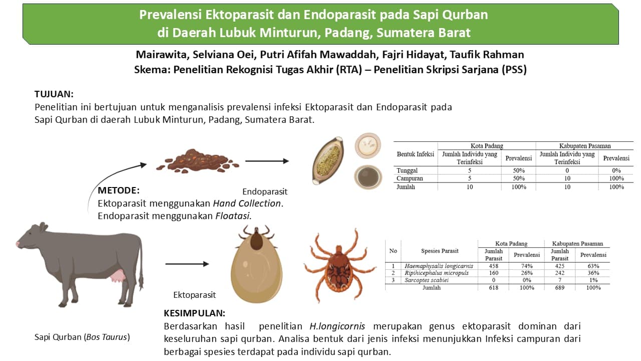 Prevalensi Ektoparasit dan Endoparasit pada Sapi Kurban di Kawasan Lubuk Minturun, Kota Padang, Sumatra Barat