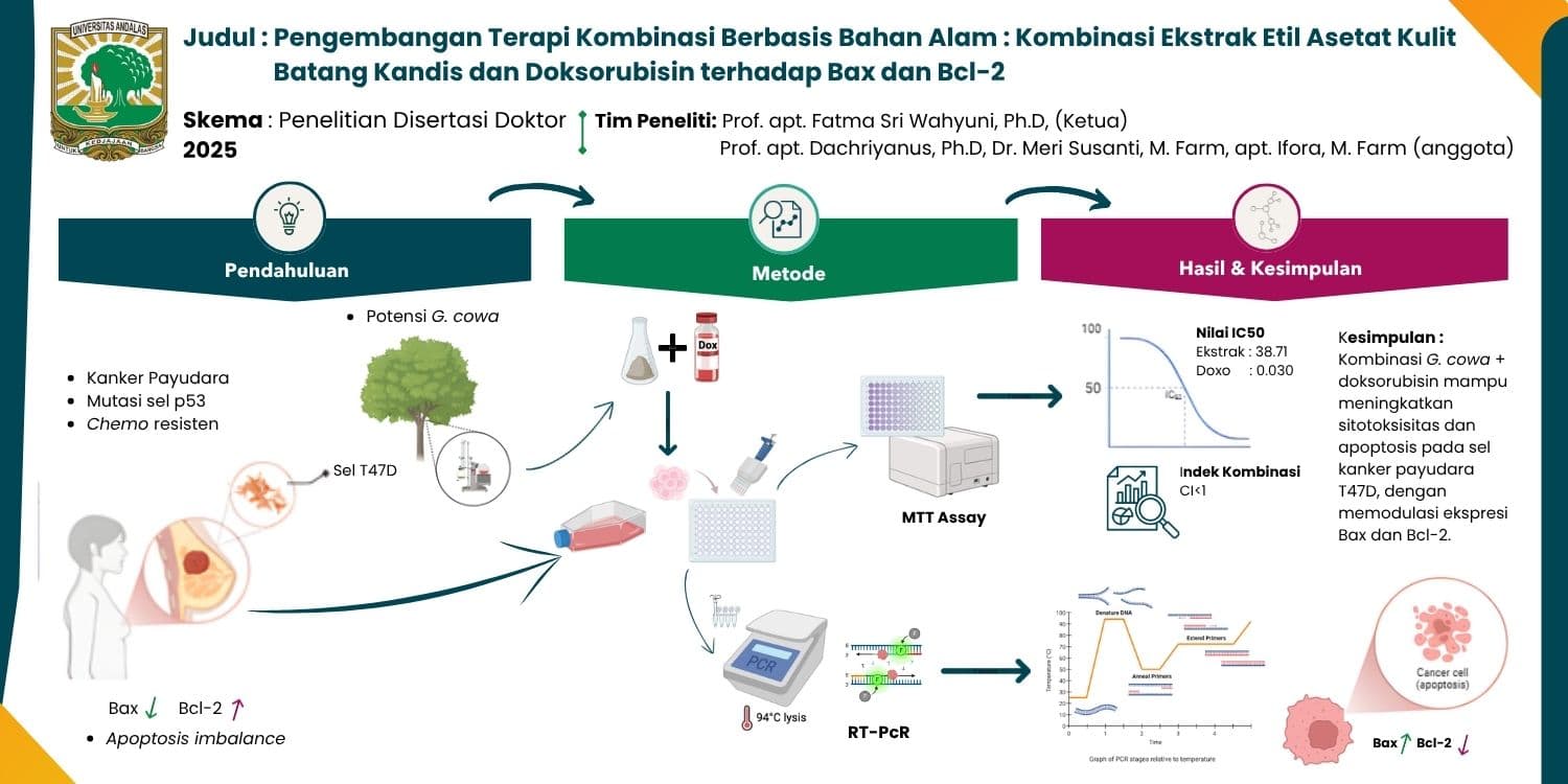 Pengembangan Terapi Kombinasi Berbasis Bahan Alam : Kombinasi Ekstrak Etil Asetat Kulit Batang Kandis dan Doksorubisin terhadap Bax dan Bcl-2