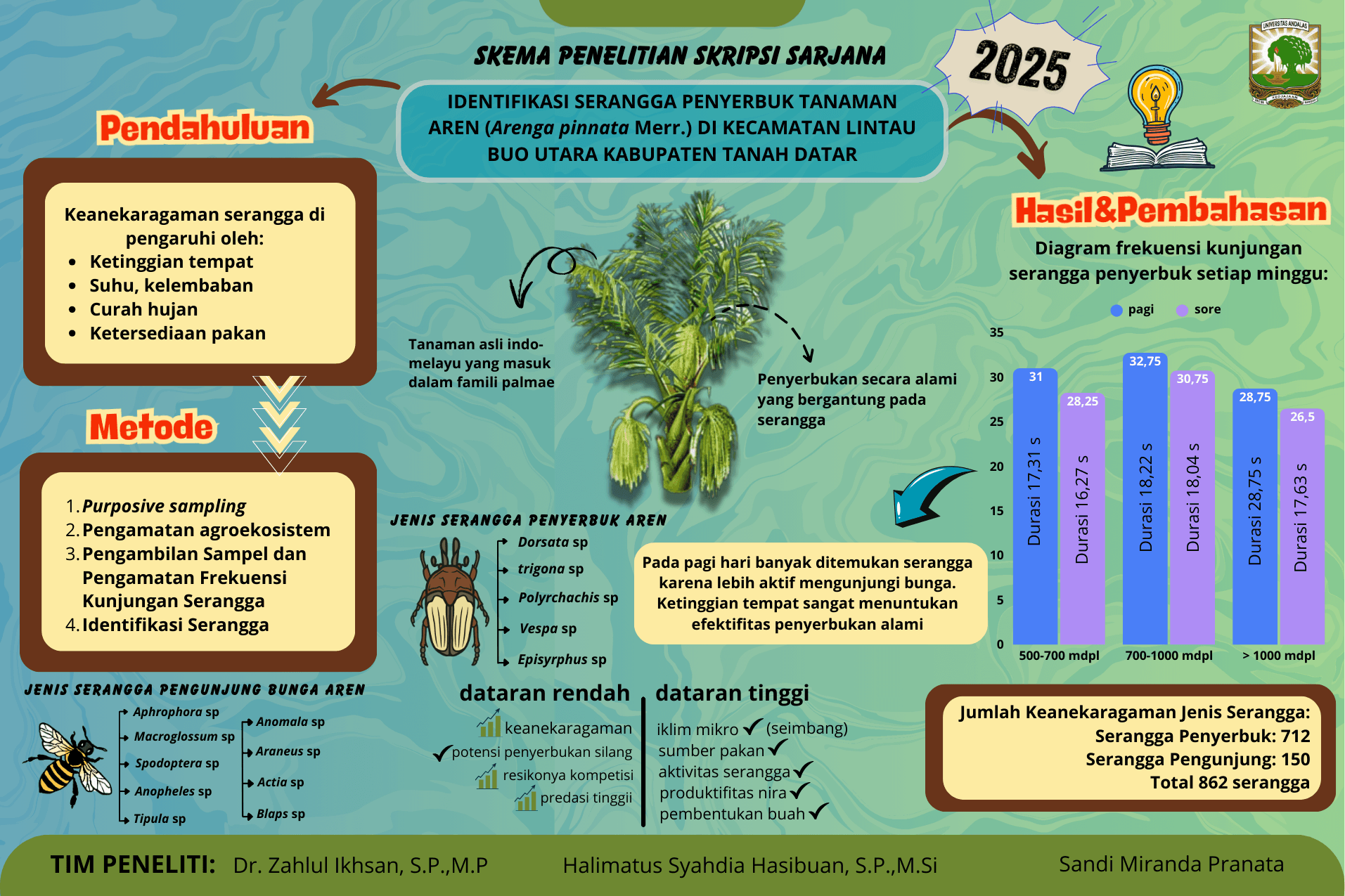 IDENTIFIKASI SERANGGA PENYERBUK TANAMAN AREN (Arenga pinnata Merr.) DI KECAMATAN LINTAU BUO UTARA KABUPATEN TANAH DATAR