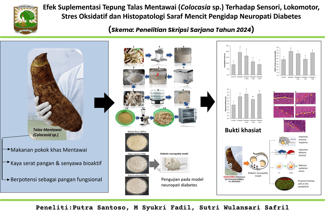 Graphical Abstract