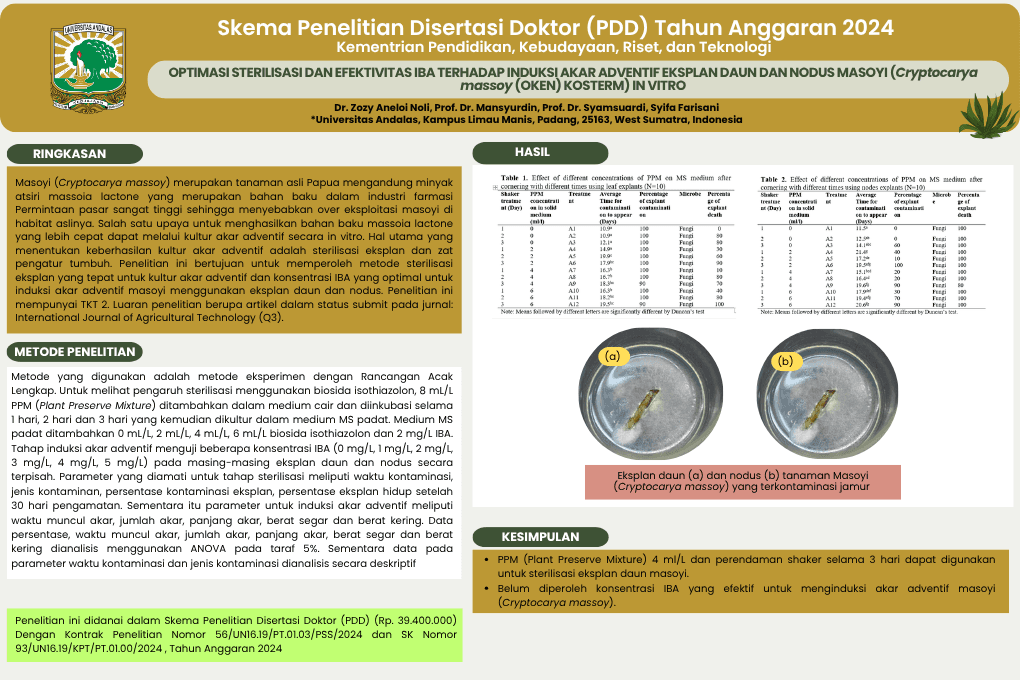 Optimasi Sterilisasi dan Efektivitas IBA Terhadap Induksi Akar Adventif Eksplan Daun dan Nodus Masoyi (Cryptocarya massoy (Oken) Kosterm) In Vitro