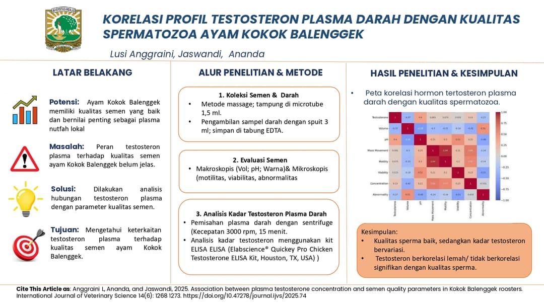 Graphical Abstract