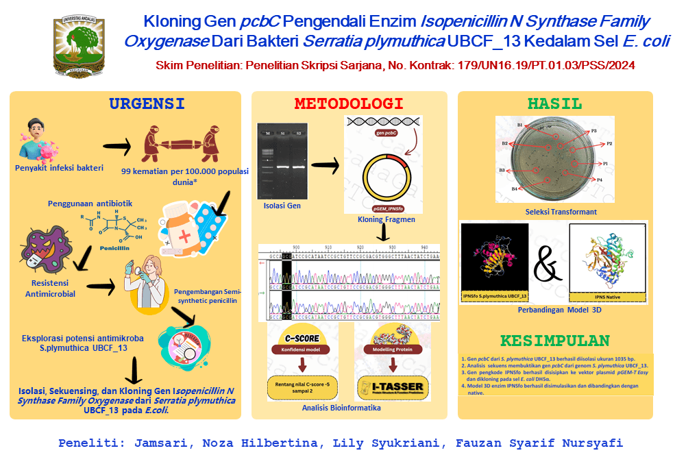 Graphical Abstract