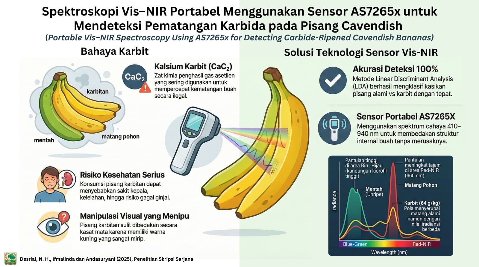 Kajian Teknologi Spektroskopi VIS-NIR untuk Deteksi Buah Pisang Cavendish (Musa acuminata Cavendish) yang Dimatangkan dengan Kalsium Karbida (CaC2)