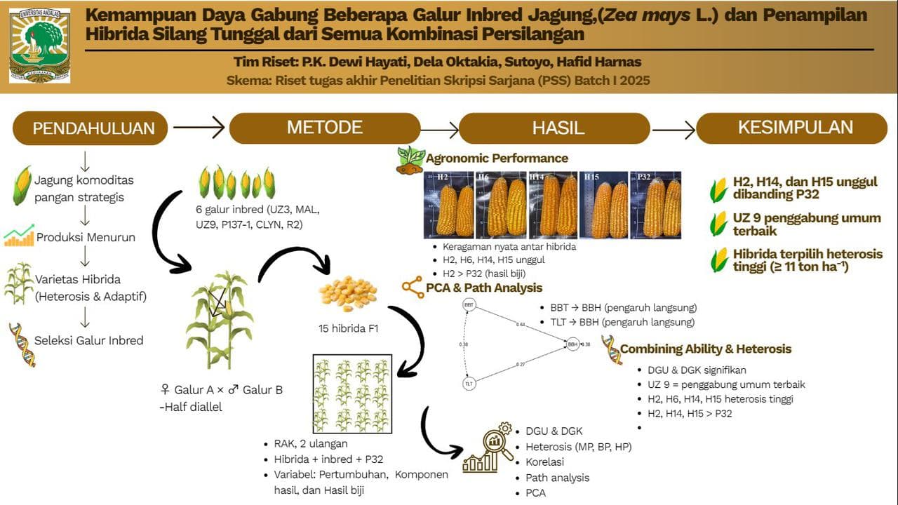 Kemampuan Daya Gabung Berbagai Galur Inbred Jagung (Zea mays L.) dan Penampilan Hibrida Silang Tunggal dari Semua Kombinasi Persilangan