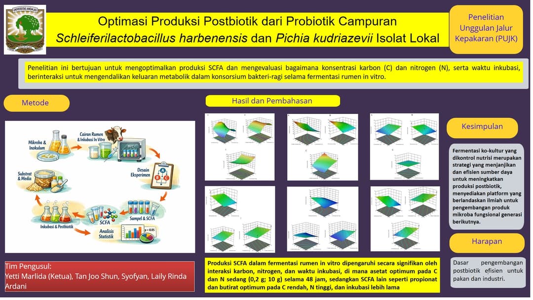Graphical Abstract