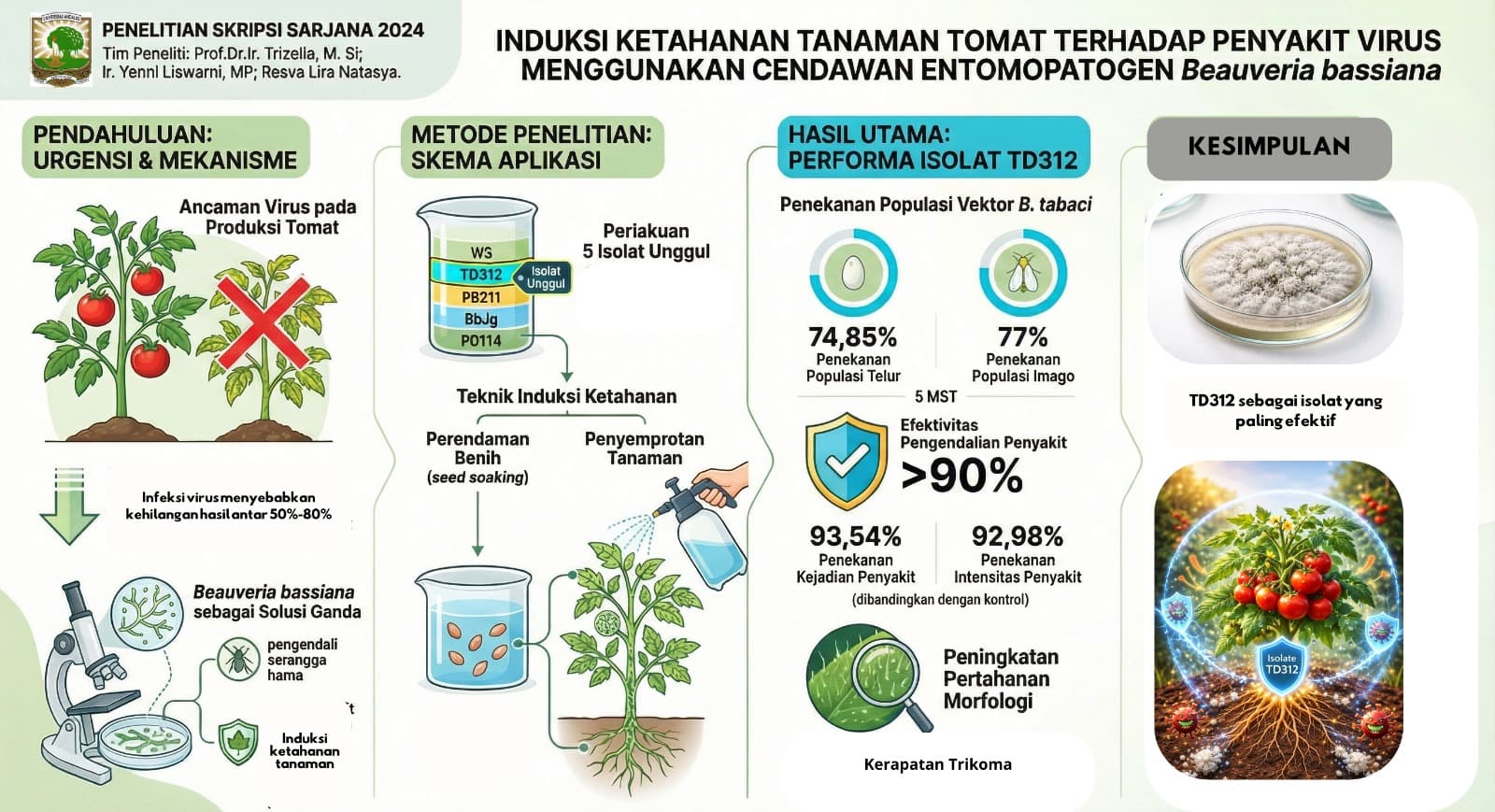 INDUKSI KETAHANAN TANAMAN TOMAT TERHADAP PENYAKIT VIRUS MENGGUNAKAN CENDAWAN ENTOMOPATOGEN Beauveria bassiana