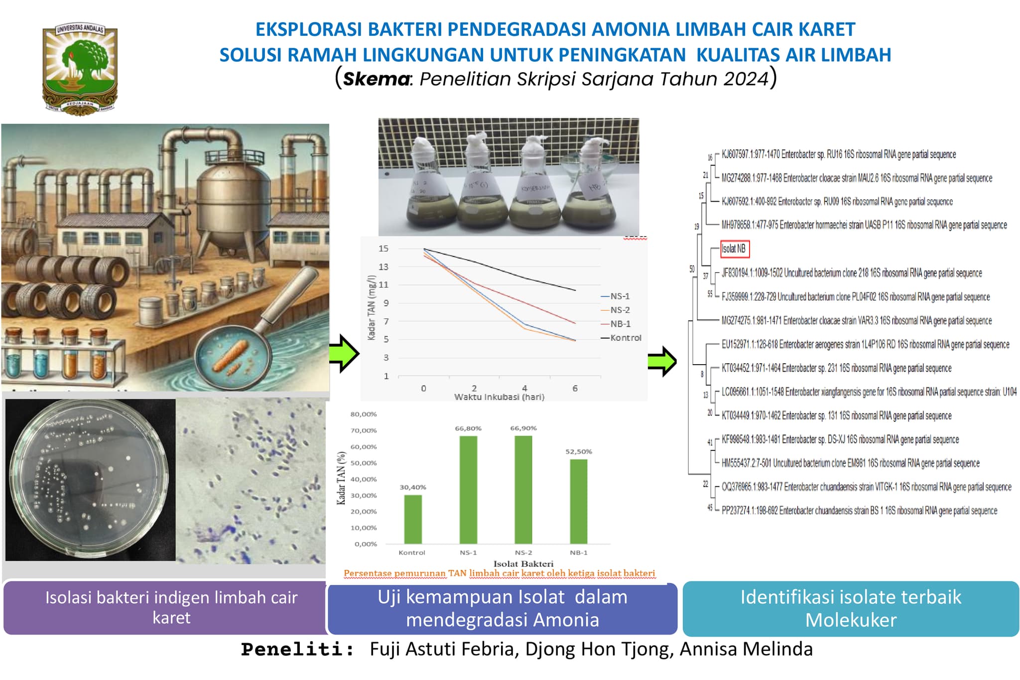 EKSPLORASI BAKTERI PENDEGRADASI AMONIA LIMBAH CAIR KARET SOLUSI RAMAH LINGKUNGAN UNTUK PENINGKATAN KUALITAS AIR LIMBAH