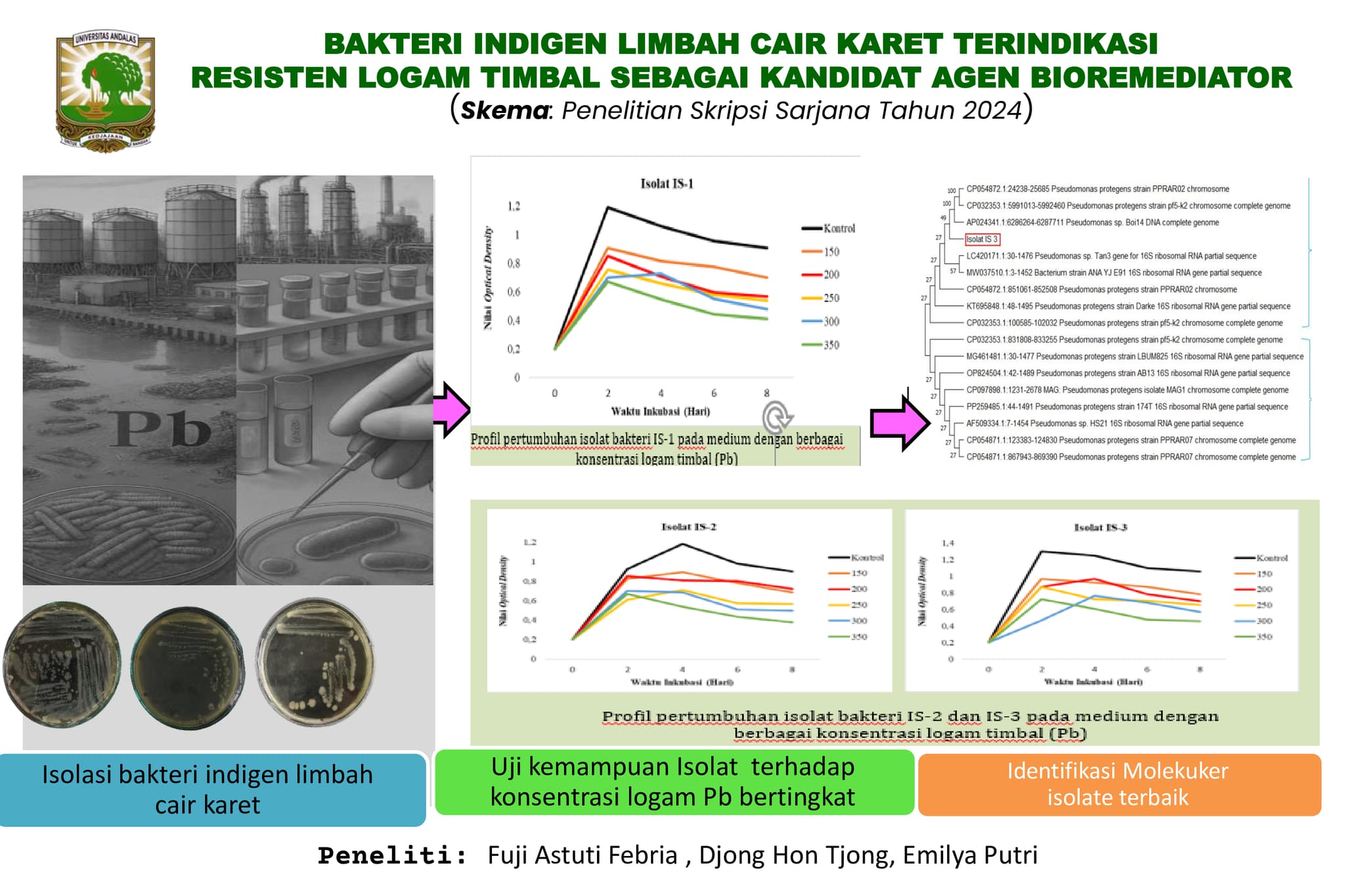 Bakteri Indigen Limbah Cair Karet Terindikasi Resisten Logam Timbal Sebagai Kandidat Agen Bioremediator