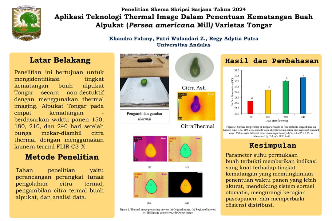 Graphical Abstract