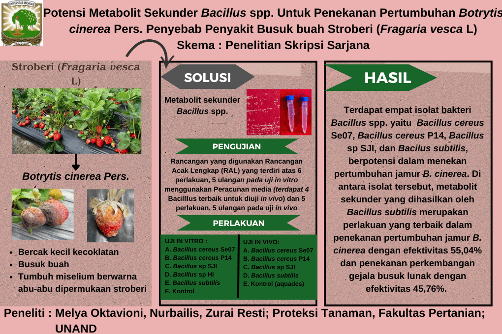 Graphical Abstract