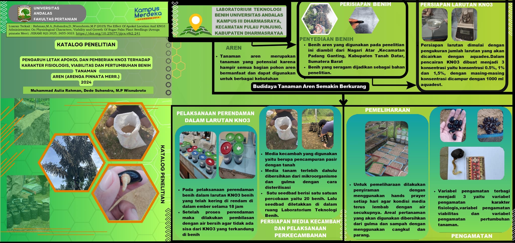 Pengaruh Letak Apokol dan Pemberian KNO3 Terhadap Karakter Fisiologis,Viabilitas dan Pertumbuhan Benih Tanaman Aren (Arenga pinnata Merr
